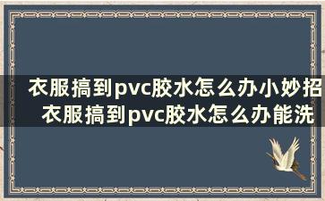 衣服搞到pvc胶水怎么办小妙招 衣服搞到pvc胶水怎么办能洗掉吗